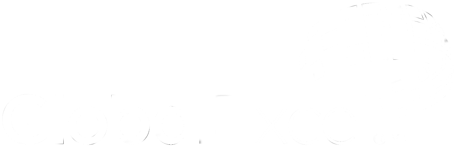 Global Excel